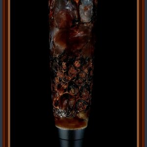 Comfort Pen & Sweet Gum Pod