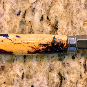 Desert ironwood