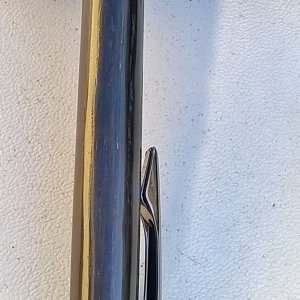 Bog Oak