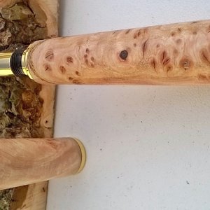 pazzaz kit.