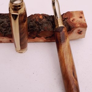Laburnum Root