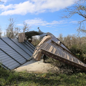 Harvey Damage