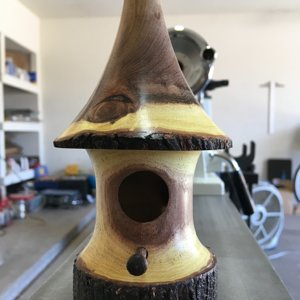 Mesquite birdhouse