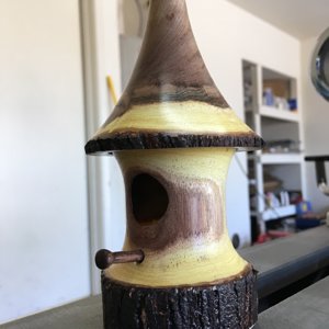 Mesquite birdhouse
