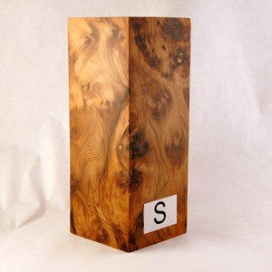 thuya burl