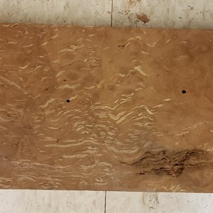 Madrone Burl