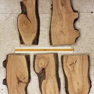plumwood