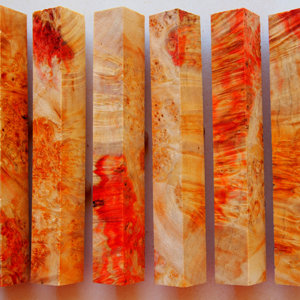 Flaming Red Box Elder