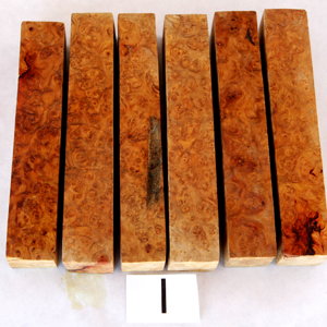 KK2X6624.JPG