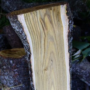 Wood ID