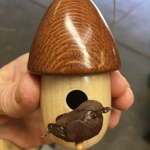 Maple/Leopardwood birdhouse ornament