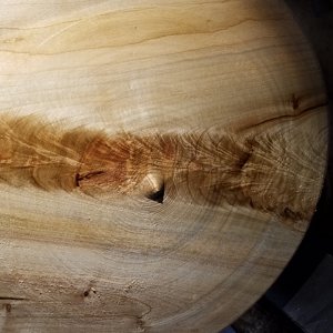 20190209_162913.jpg