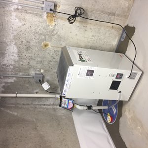 Shop Walls