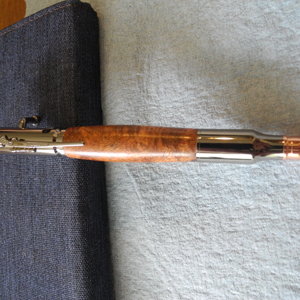 Bolt Action 1
