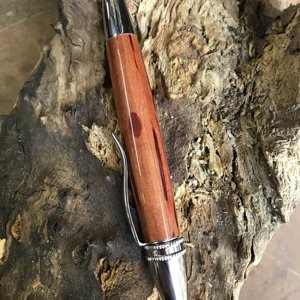 Polaris Pen