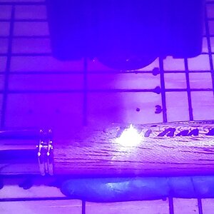 pen02.jpg