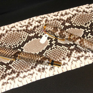 Python