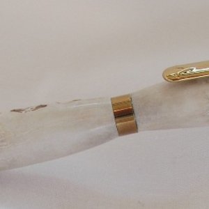 Antler with Crown