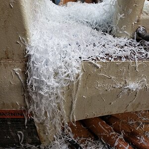 shavings08.jpg