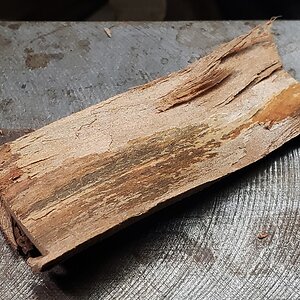 054_bark.jpg