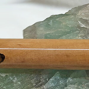 IMG_1869 Cropped.jpg