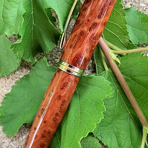 redwood jr (5).jpg