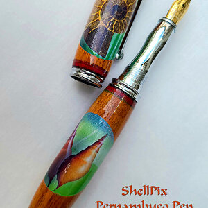 ShellPen,AcrylicPtgs,UVEpoxy,Decal,EtOHInk,EpoxyFinish,markisonJul,2021,capoff,1000px.jpg
