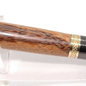 Pen2.jpg