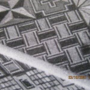 IMG_1548.jpg