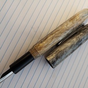 Wesa pen 2.jpg