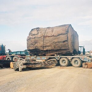 Ancientwood8726346-r7-036-16a-copy.jpg