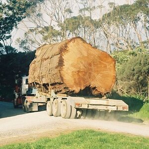 Kauri-Ancient-Wood-truck.jpg
