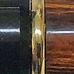 IMG_2753 Cropped Zoom.jpg