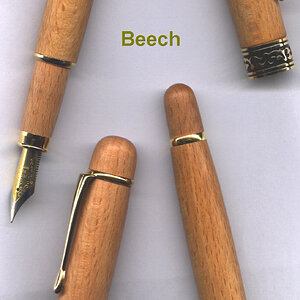 131-132-bee-regen-open-rs.jpg