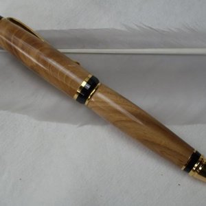 Indiana Constitutiona Elm