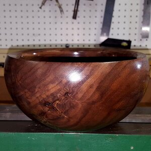 Walnut 1i.jpg