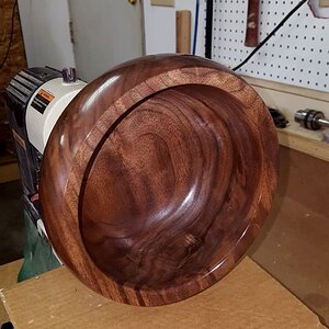 Walnut 1m.jpg