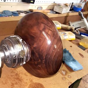 Walnut 3a.jpg