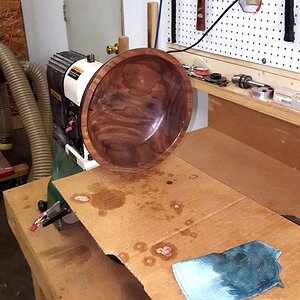 Walnut 3c.jpg