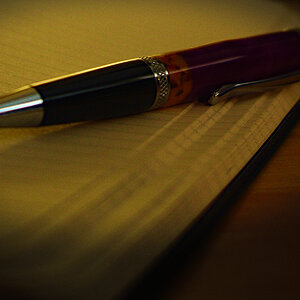 Daily Journal
