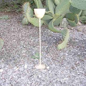 Aspen Goblet1 copy.JPG