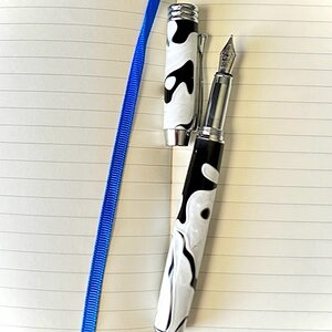 black and white founain pen 2.jpg