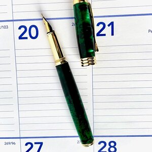 green manager fountain pen.jpg