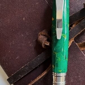 Coyote 3.jpg