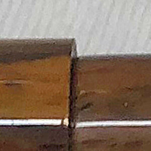 IMG_3751 Tight Crop.jpg