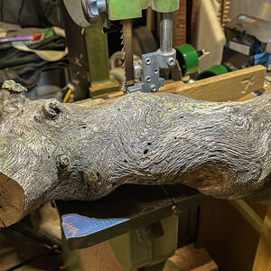 Log.jpg