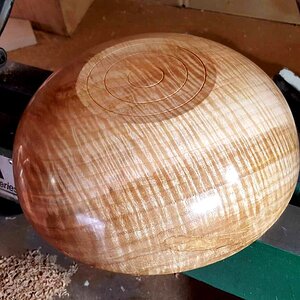 Tiger Striped Maple Bowl 1e.jpg