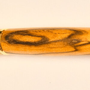 Pen #5.jpeg