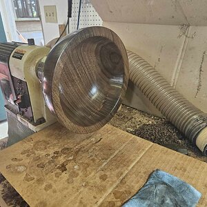 Walnut 2a.jpg
