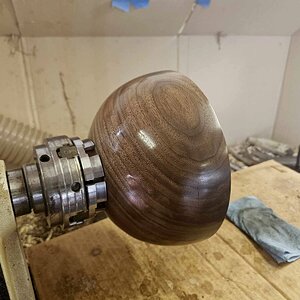 Walnut 2c.jpg